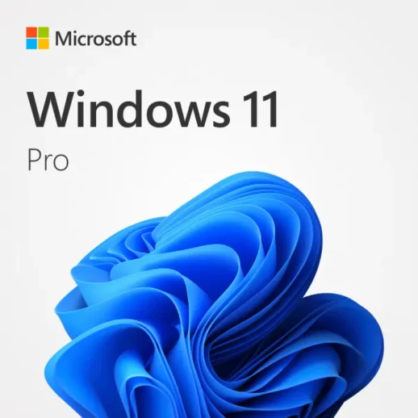 Windows 11 Professional Retail Lisans Anahtarı